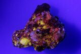 Norton County Aubrite Meteorite Fragment ( g) - Fluorescent! #286015-1